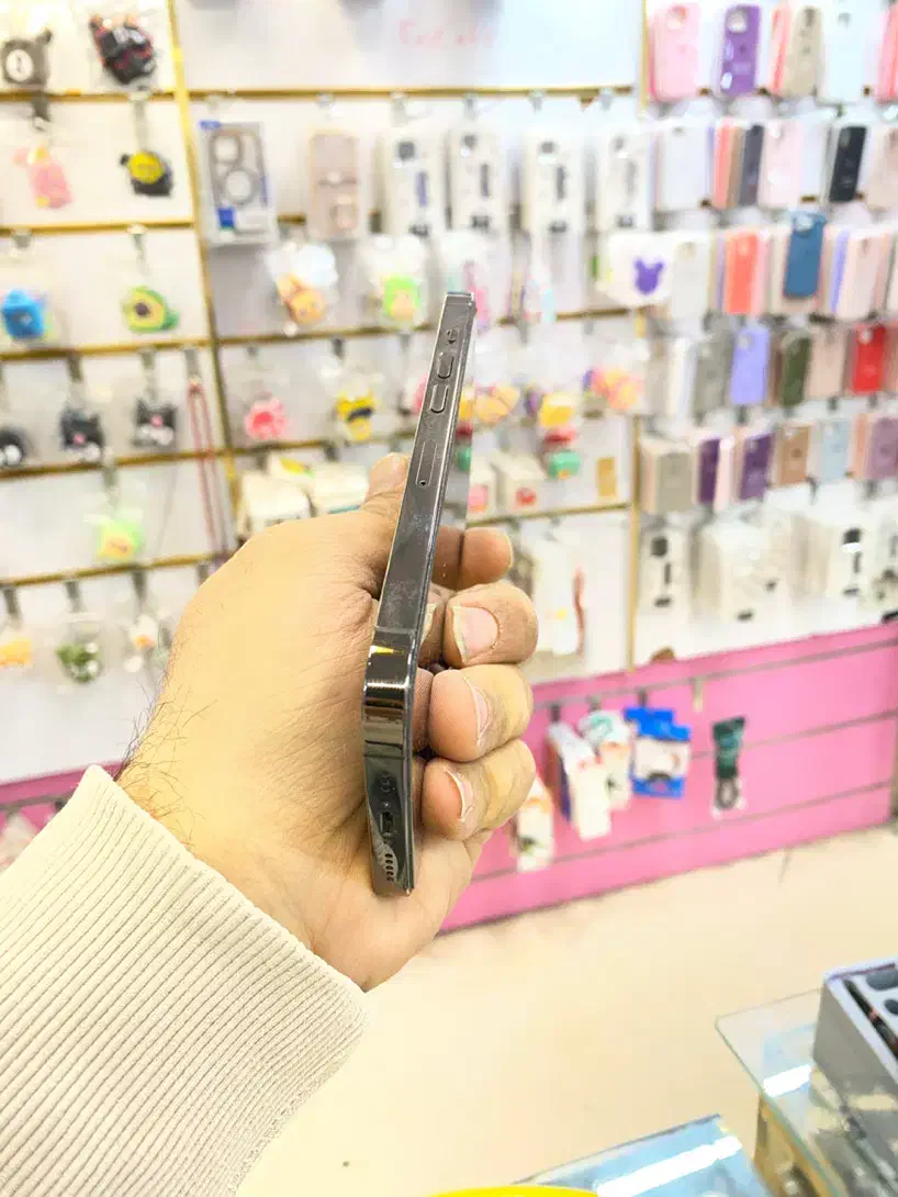 ایفون 13 پرو 512|موبایل|ری, شهرری|دیوار