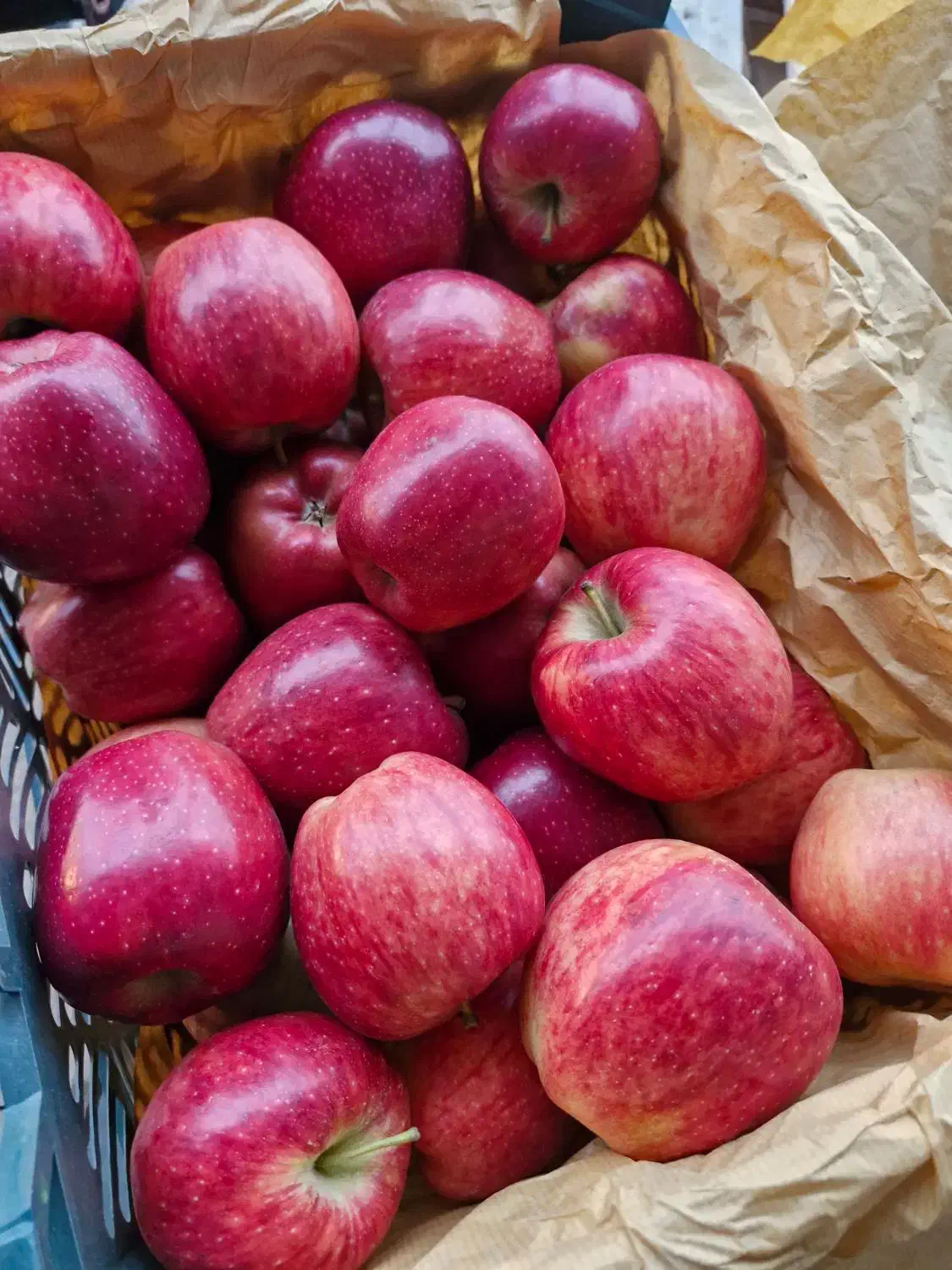سورتینگ میوه و بسته بندی|ماشین‌آلات صنعتی|قائم‌شهر, |دیوار
