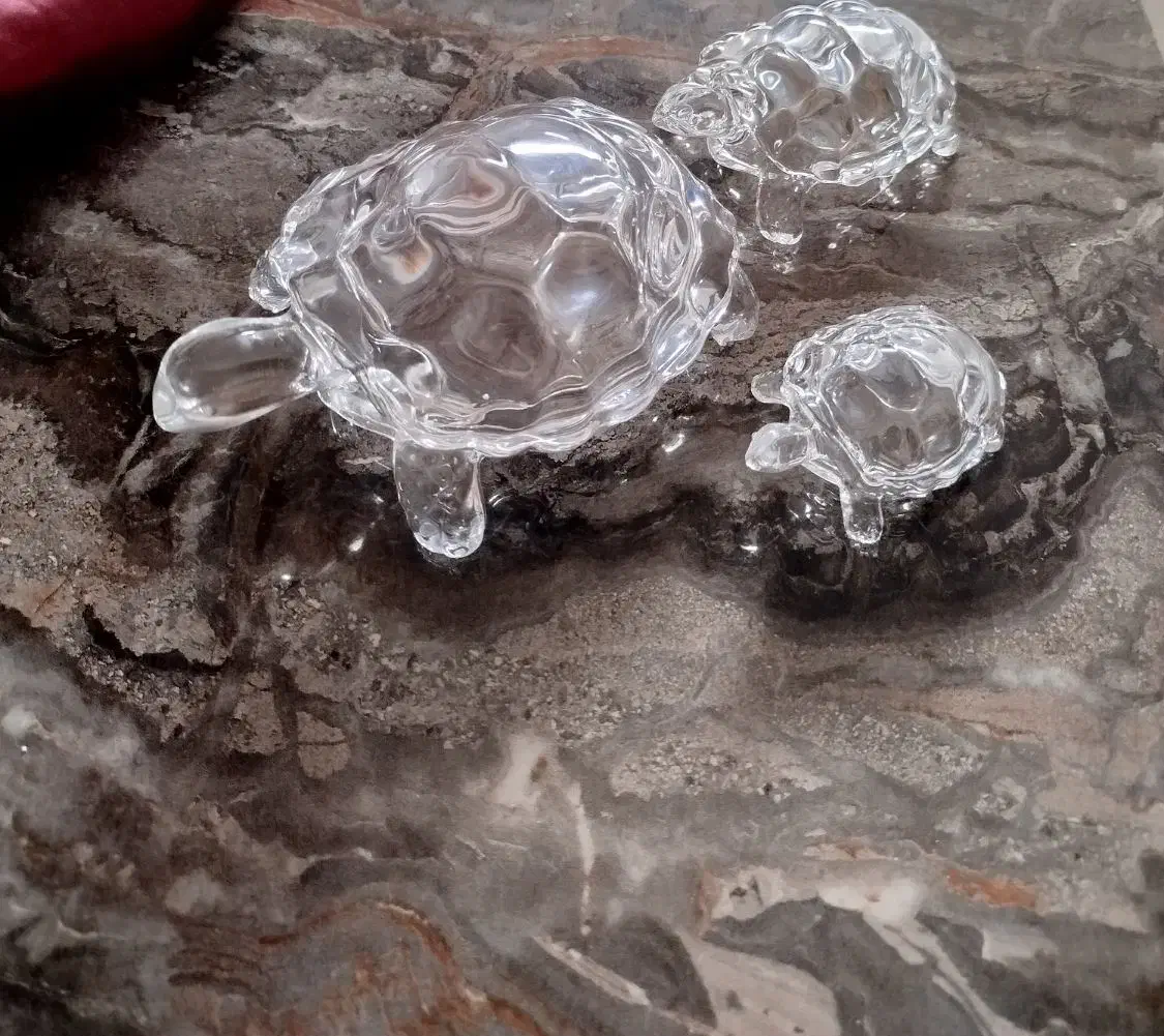 مجسمه لاک پشت|مجسمه، تندیس، ماکت|سریش آباد, |دیوار