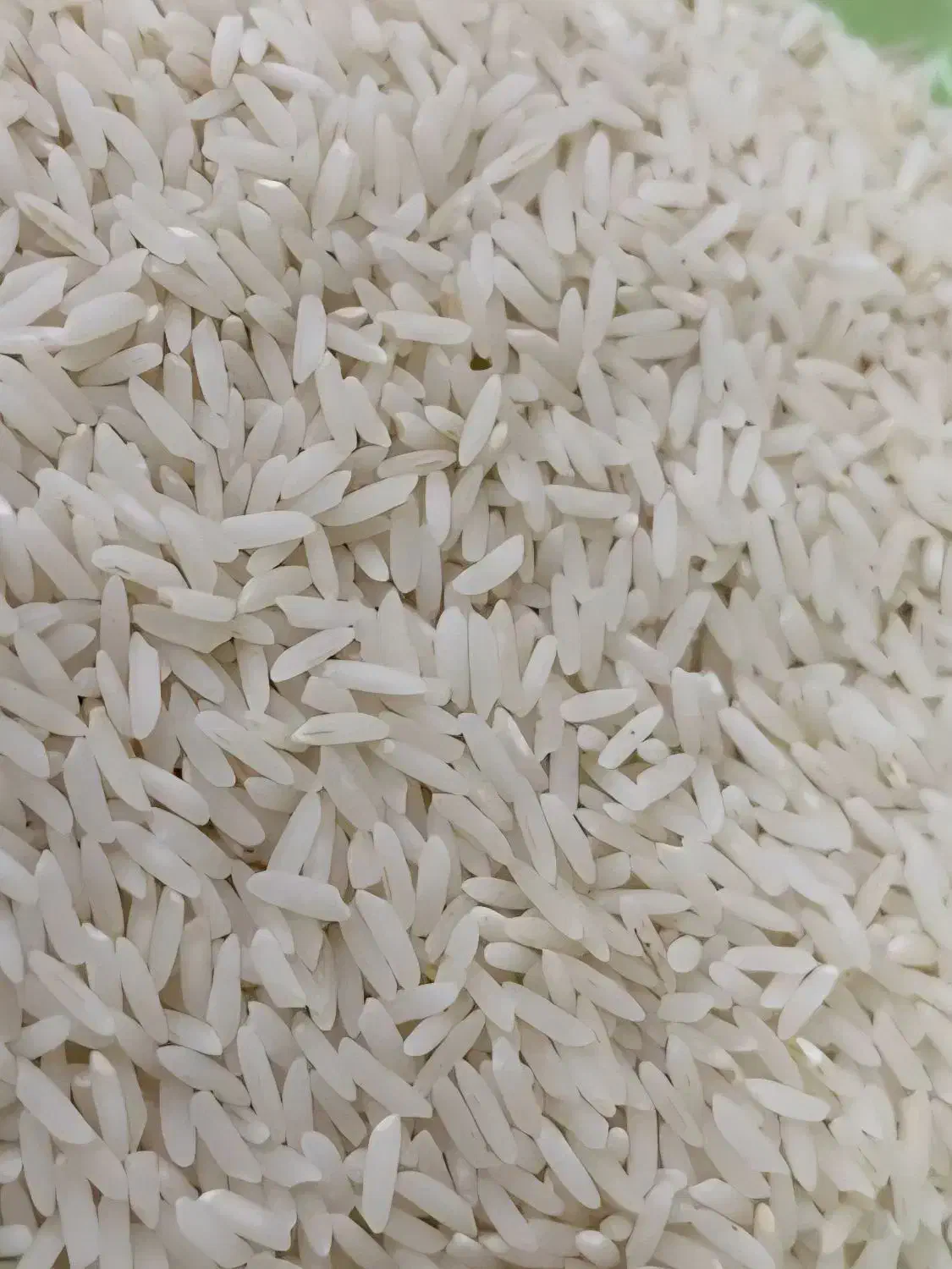 برنج درون گر درگز درجه یک|خوردنی و آشامیدنی|مشهد, کوی المهدی|دیوار