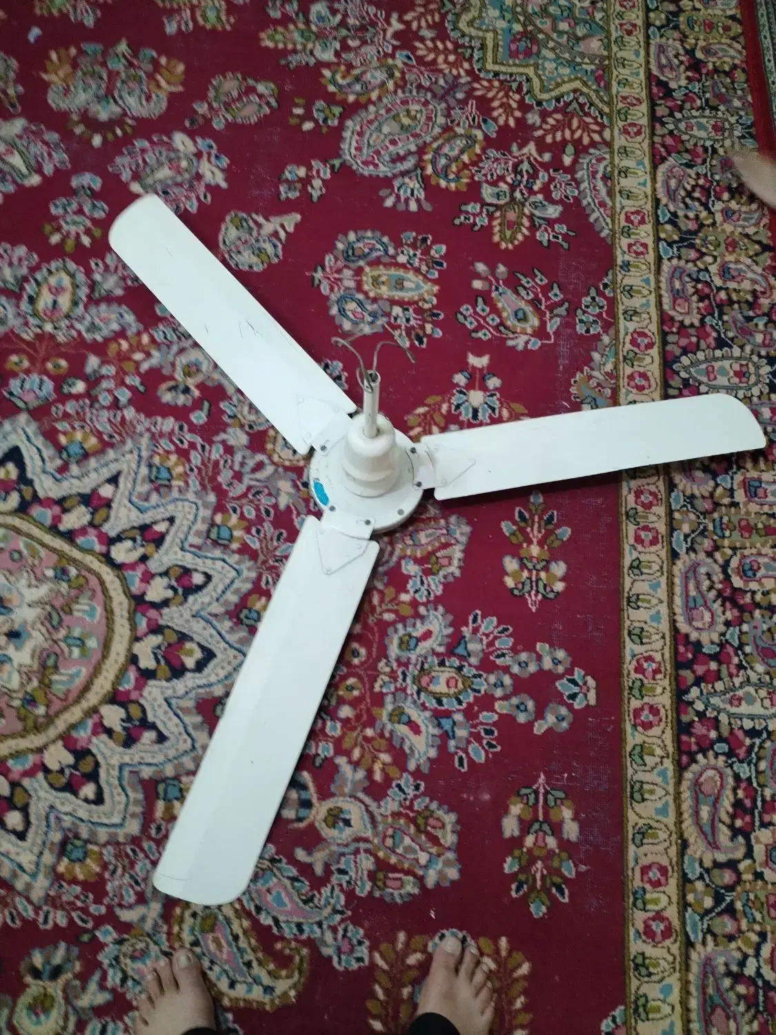 فروش پنکه سقفی|پنکه و تصفیهکنندهٔ هوا|کرمان, |دیوار