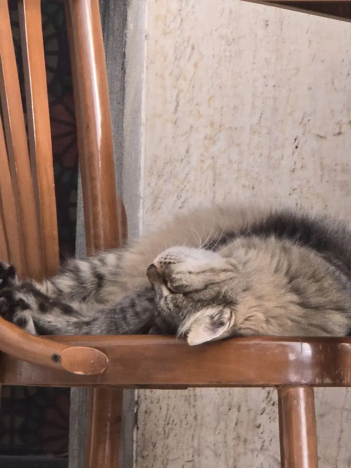 ادمین ، تولید محتوا ، آموزش برای کسب و کار ،عکاسی|خدمات رایانه‌ای و موبایل|اصفهان, نقش جهان|دیوار