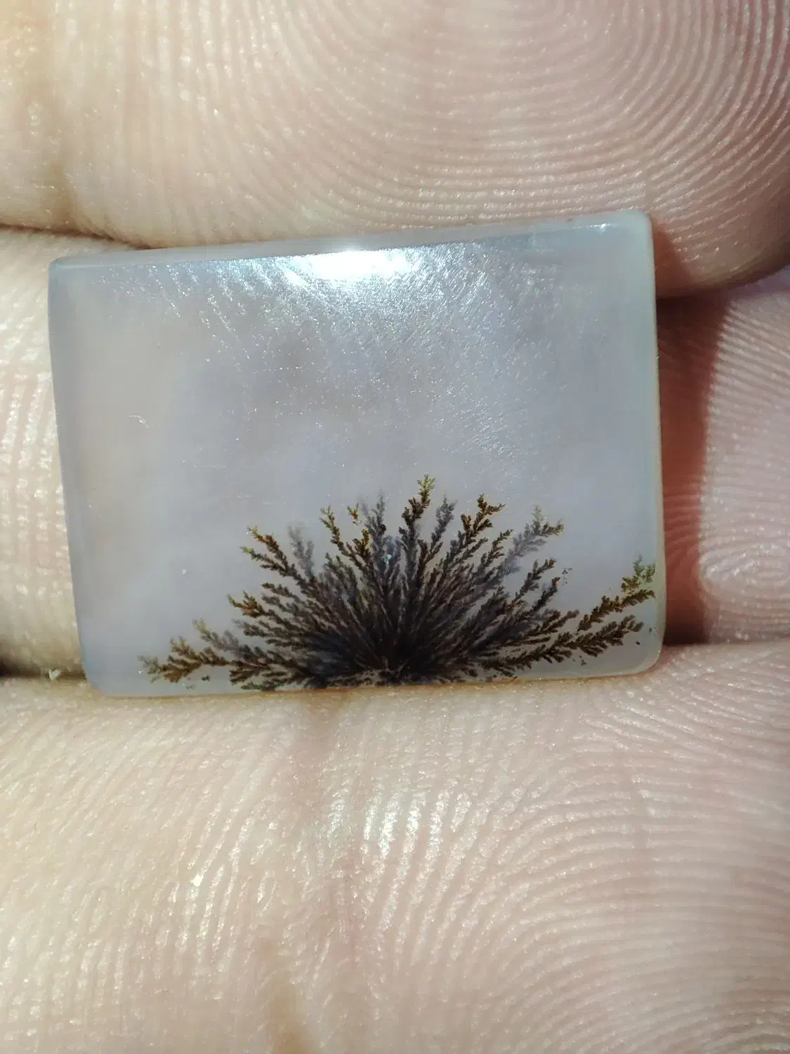 نگین شجر|جواهرات|فیروزآباد (لرستان), |دیوار