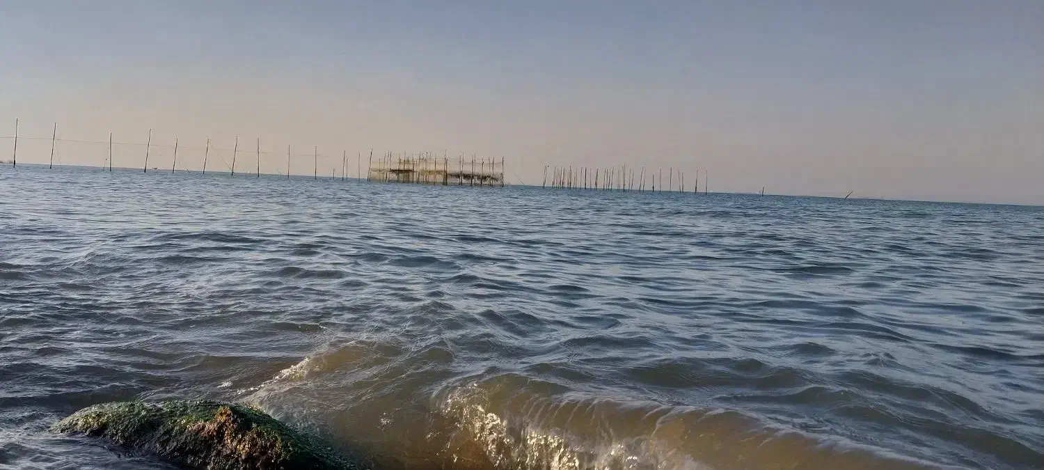 انکاس بزرگ|ماهی|درگهان, |دیوار