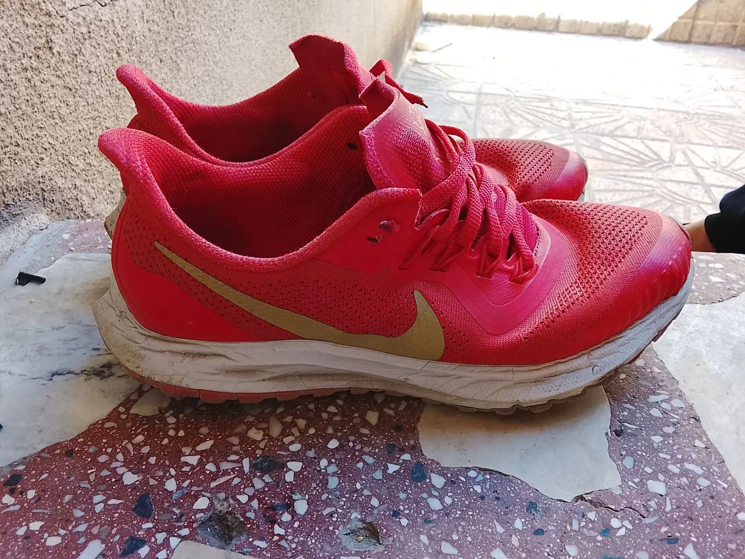 کفش اصلی|کیف، کفش، کمربند|هرسین, |دیوار