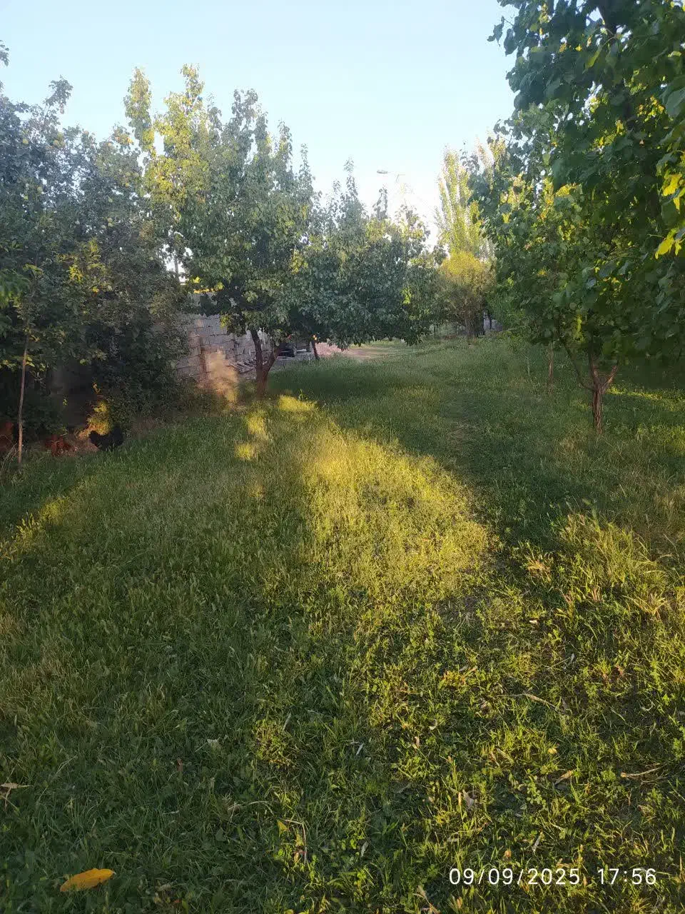 باغ|فروش زمین و ملک کلنگی|باروق, |دیوار