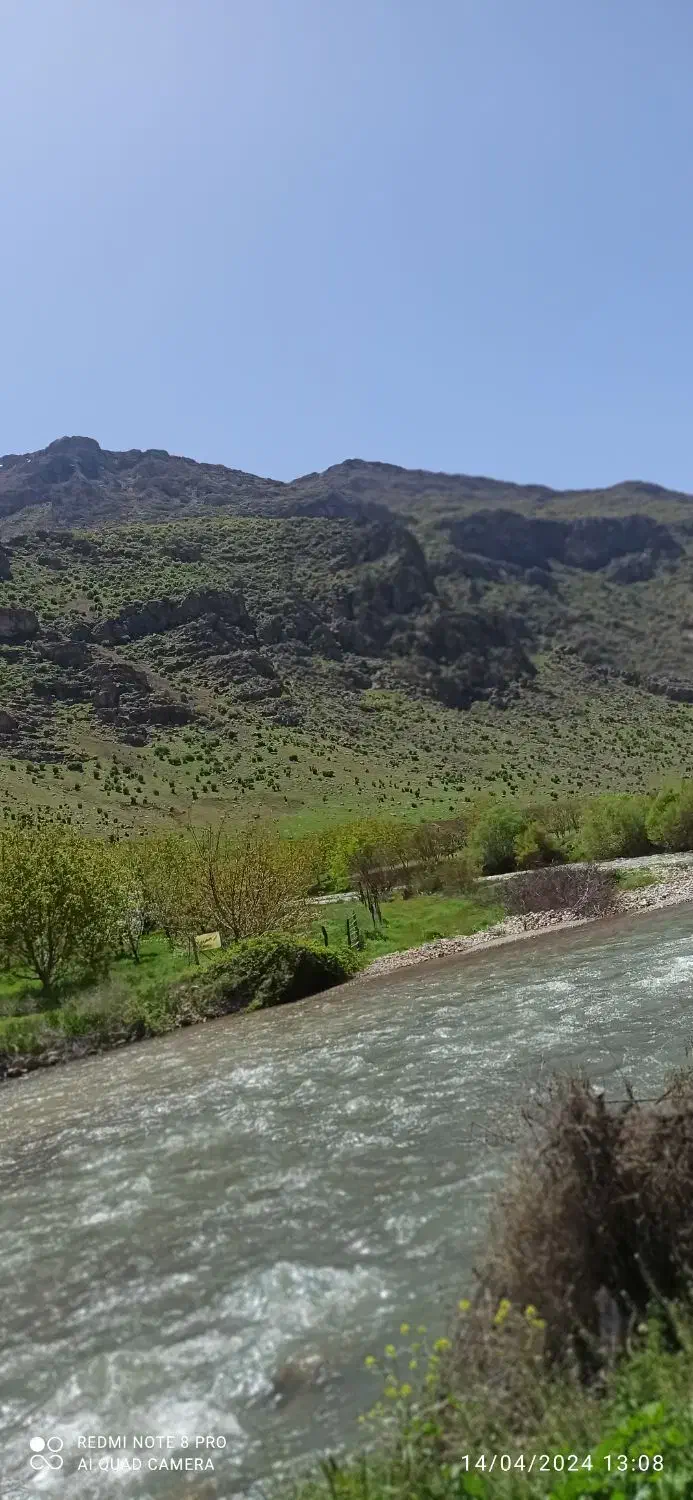 باغ فروشی|فروش دفتر صنعتی، کشاورزی، تجاری|بیستون, |دیوار