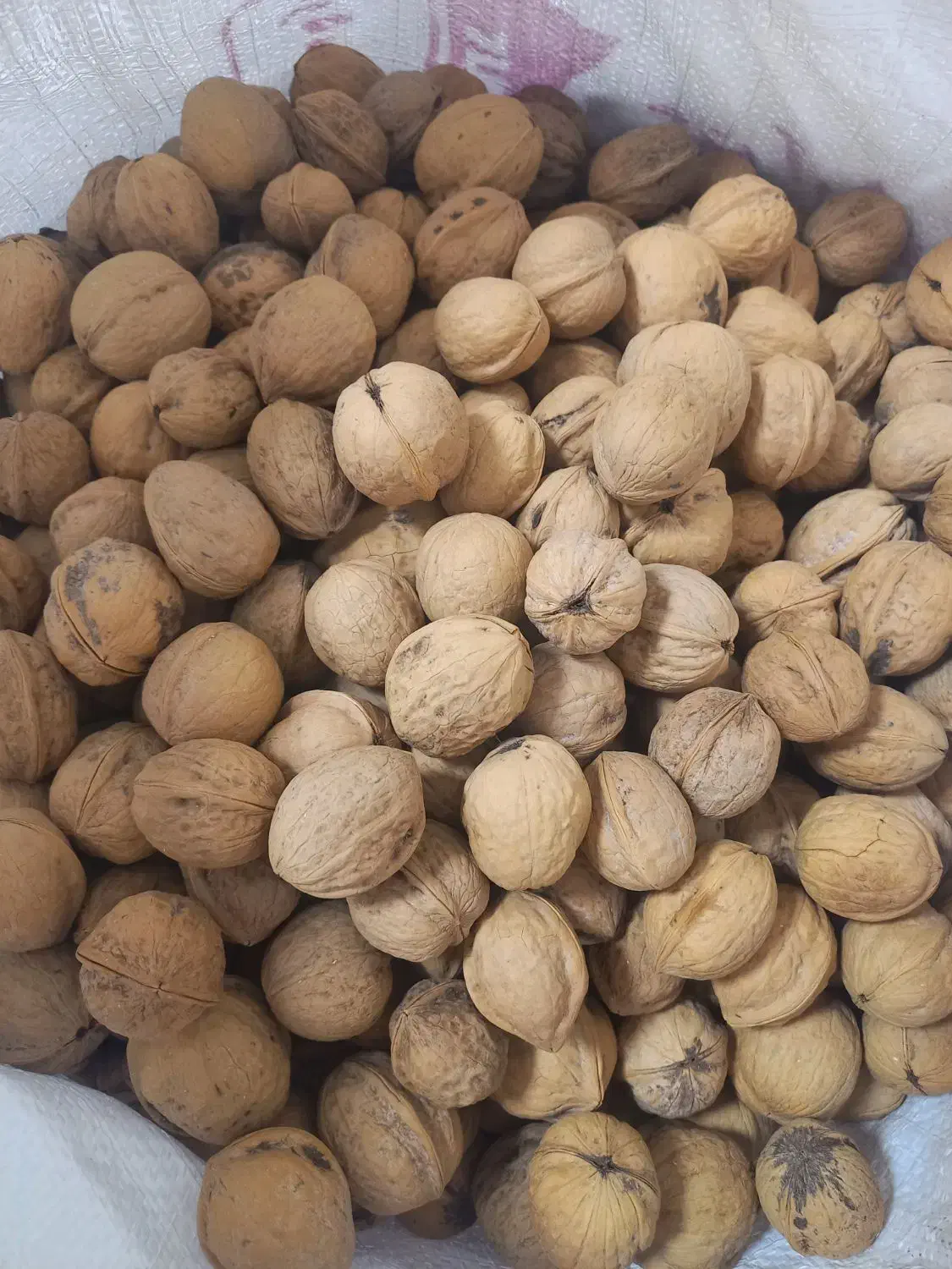 گردوی ارگانیک|خوردنی و آشامیدنی|بوکان, |دیوار