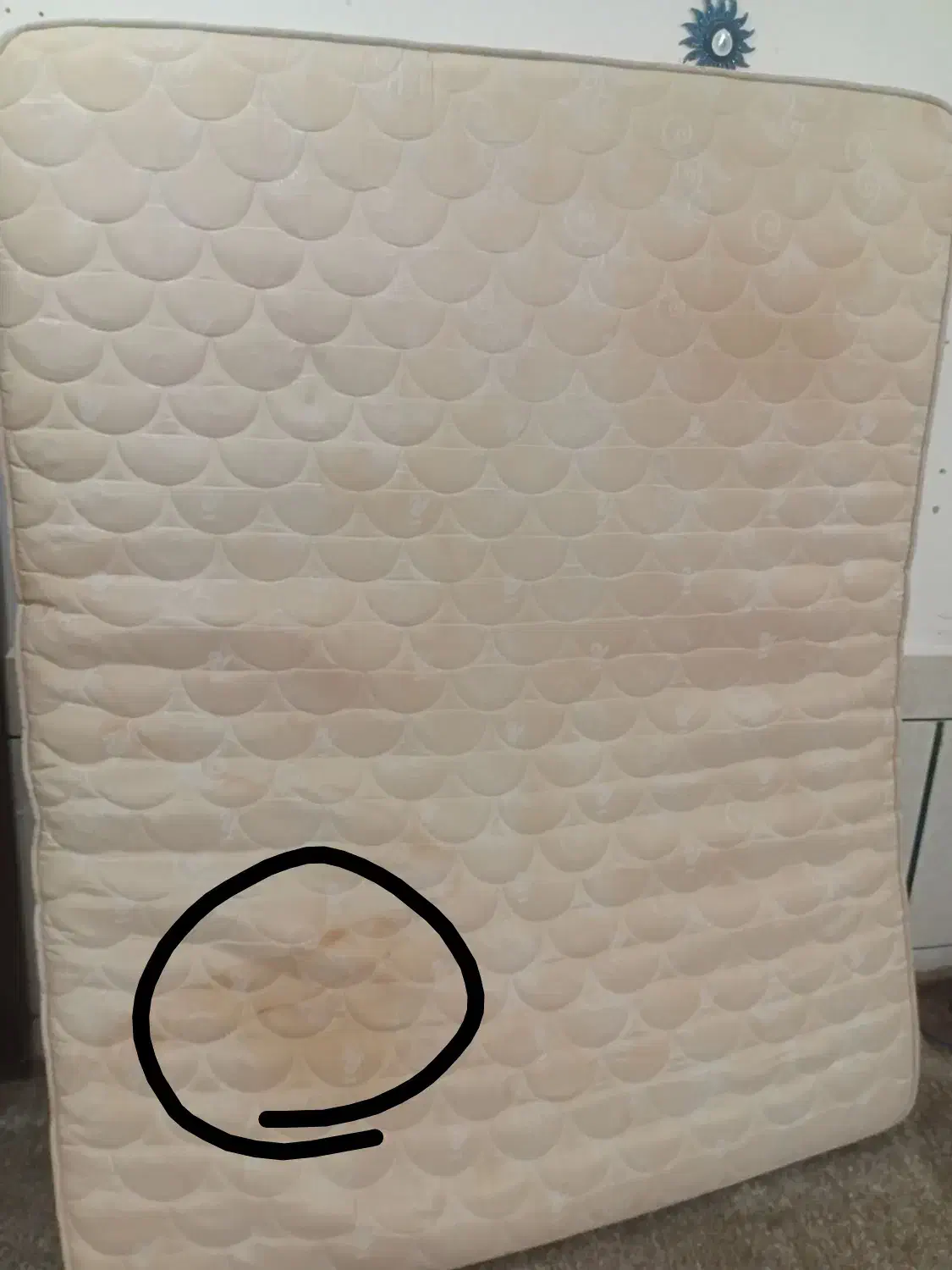 تشک تخت خواب دونفره|تشک تختخواب|شوش, |دیوار