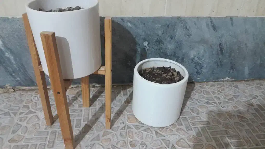 گلدان|گل و گیاه طبیعی|خرمشهر, |دیوار