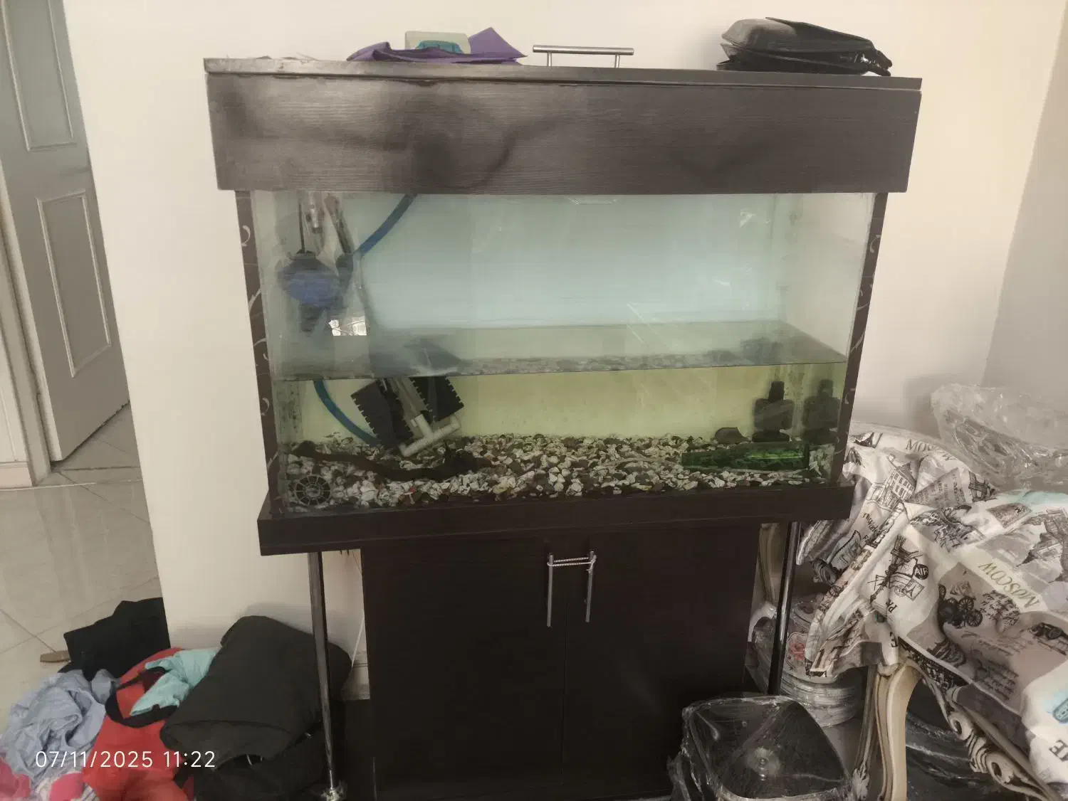 آکواریوم با لوازم وغذای ماهی|ماهی|تهران, افسریه شمالی|دیوار