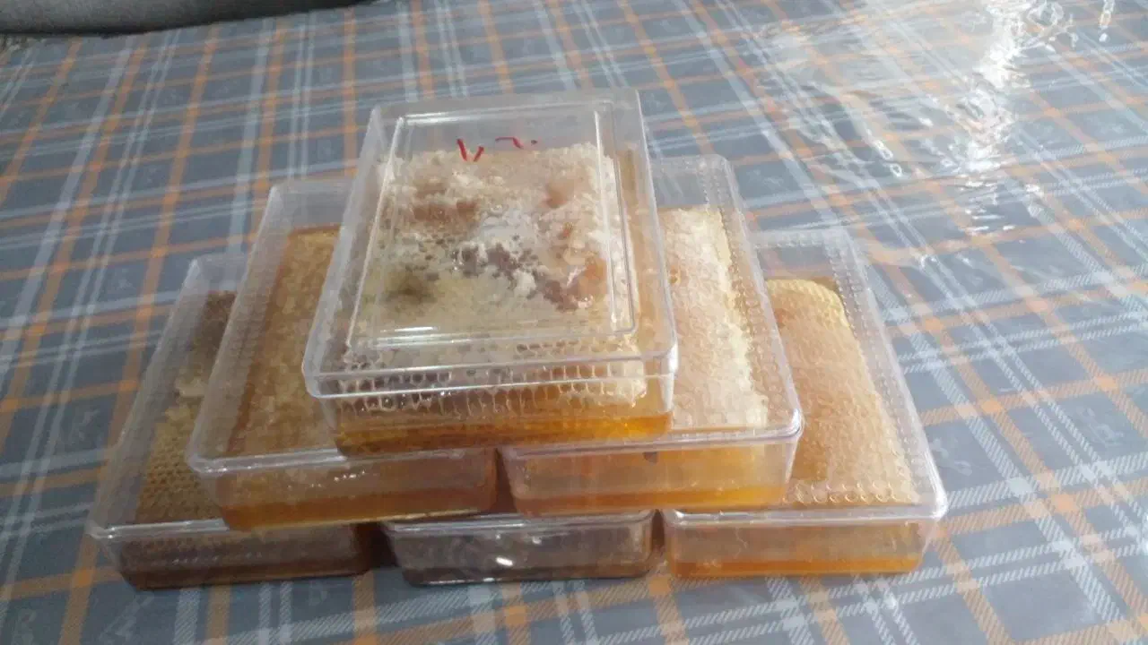 عسل سراب|خوردنی و آشامیدنی|رشت, هلال احمر|دیوار