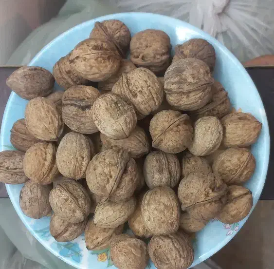 گردو امسالی|خوردنی و آشامیدنی|نیشابور, هفده شهریور|دیوار