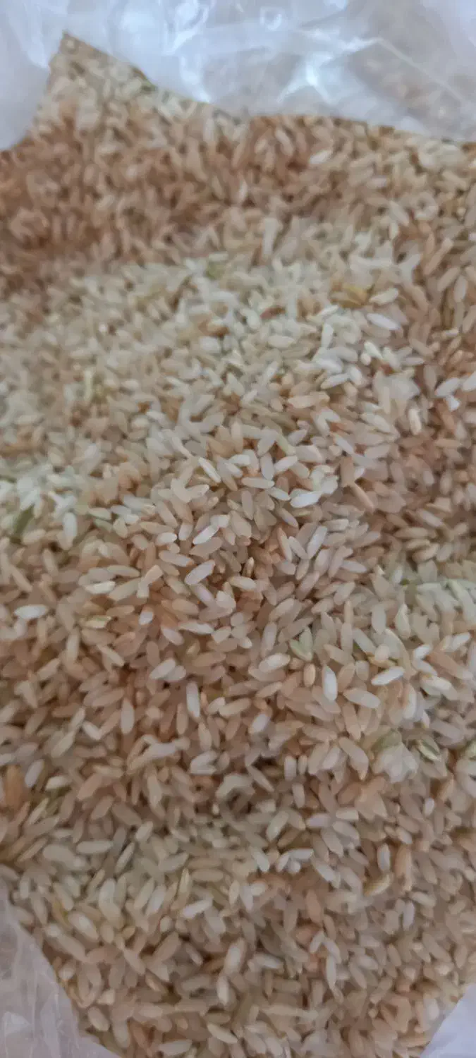 برنج چمپا تازه|خوردنی و آشامیدنی|یاسوج, |دیوار