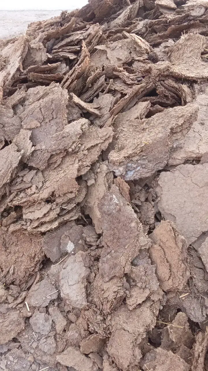 کود گوسفندی|خدمات باغبانی و درختکاری|نوشین شهر, |دیوار