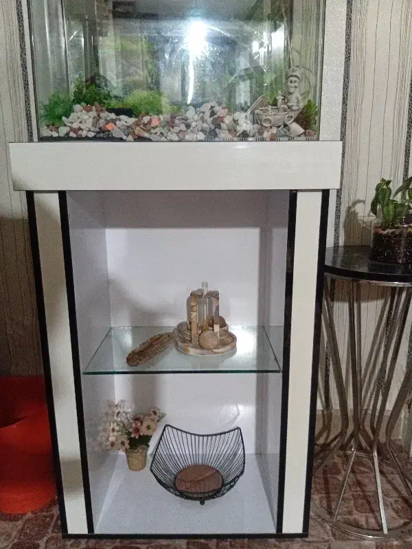 استند چوبی|کتابخانه، شلف، قفسه‌های دیواری|شیراز, سلطان آباد|دیوار