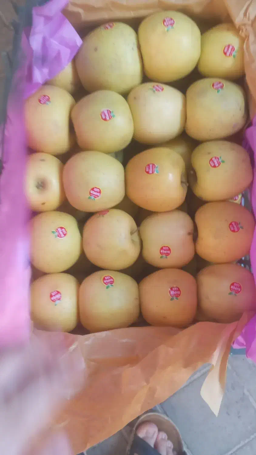 سیب زرد وقرمز مراغه سیب سردخانه خیلی زیبا ودرشت|خوردنی و آشامیدنی|بوکان, |دیوار