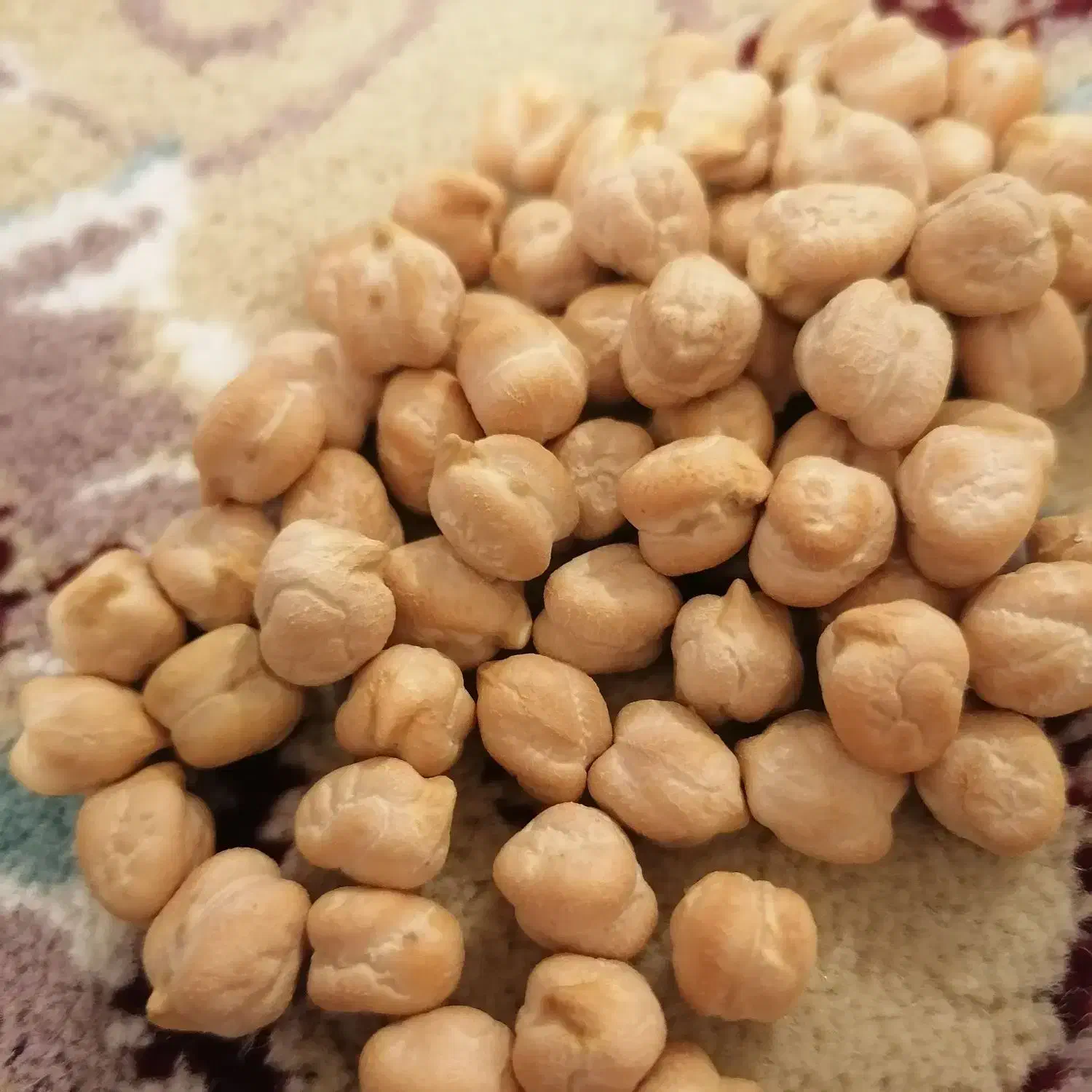 فروش نخوددیم بذری|خوردنی و آشامیدنی|کبودرآهنگ, |دیوار