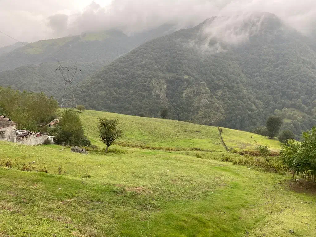 زمین ویلایی در حیران (روستای گیلده)|فروش زمین و ملک کلنگی|آستارا, |دیوار