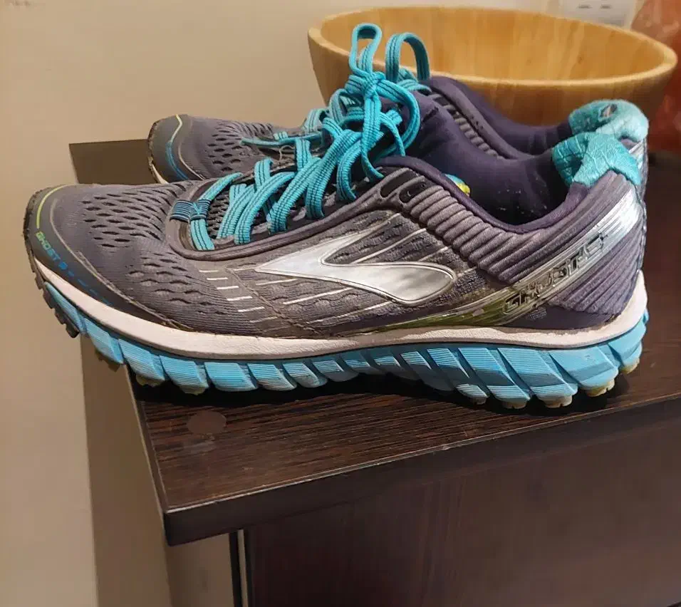 کتونی|کیف، کفش، کمربند|گنبد کاووس, |دیوار