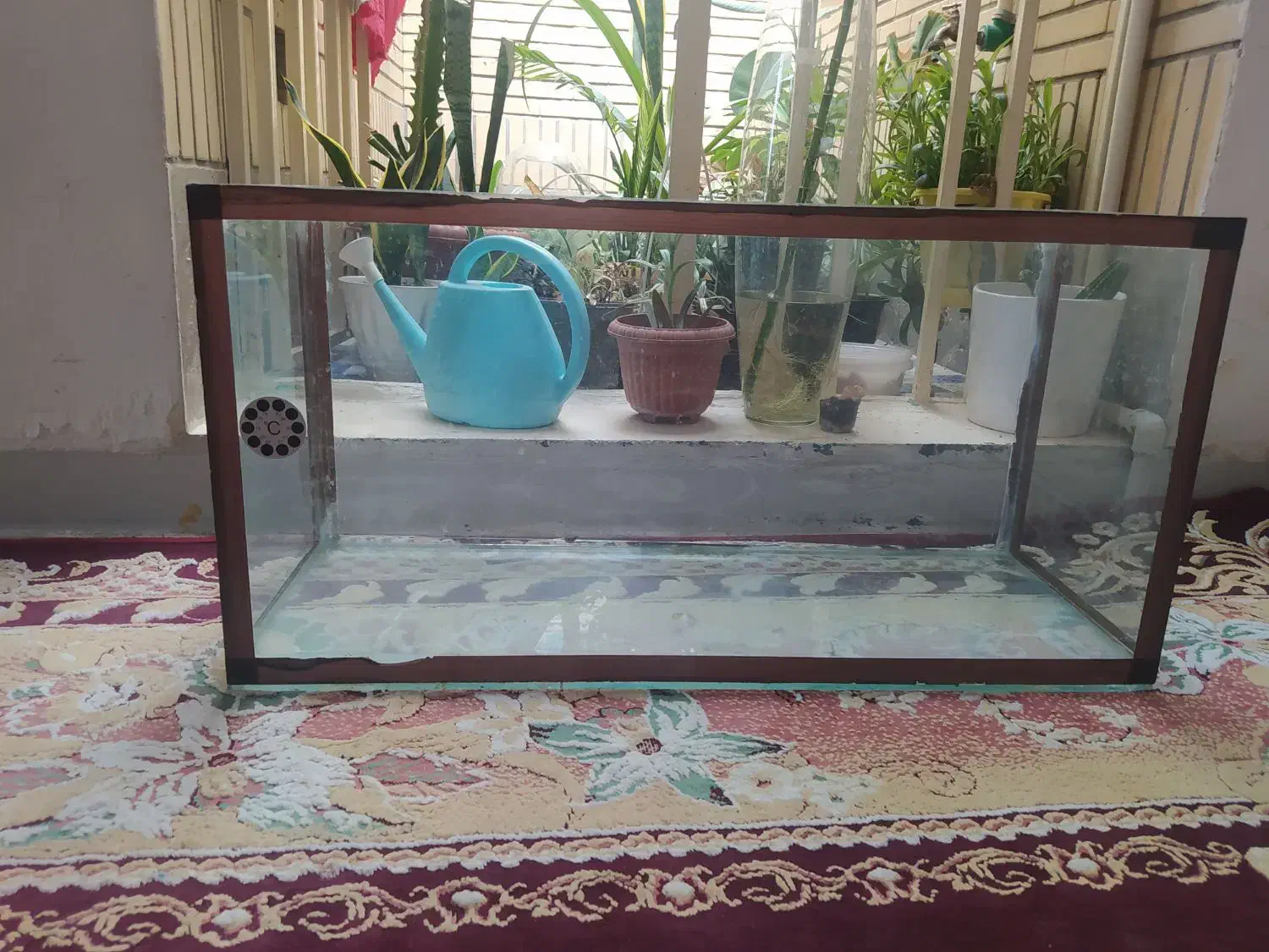 اکواریوم بزرگ|ماهی|شیراز, کوزه گری|دیوار