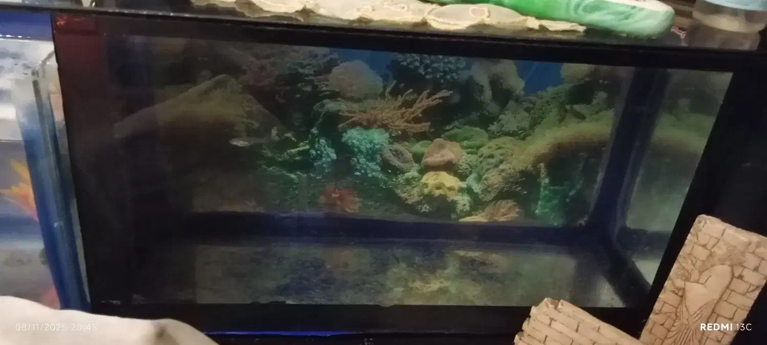 دو عدد آکواریم ویک عدد اکسیژن|ماهی|شیروان (لرستان), |دیوار