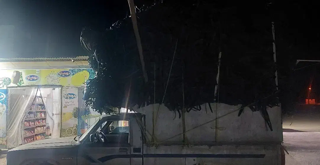 خرید تیپ ضایعاتی تحویل خنجشت۳۷تا۴۰تومان تسویه نقد|خدمات باغبانی و درختکاری|اقلید, |دیوار