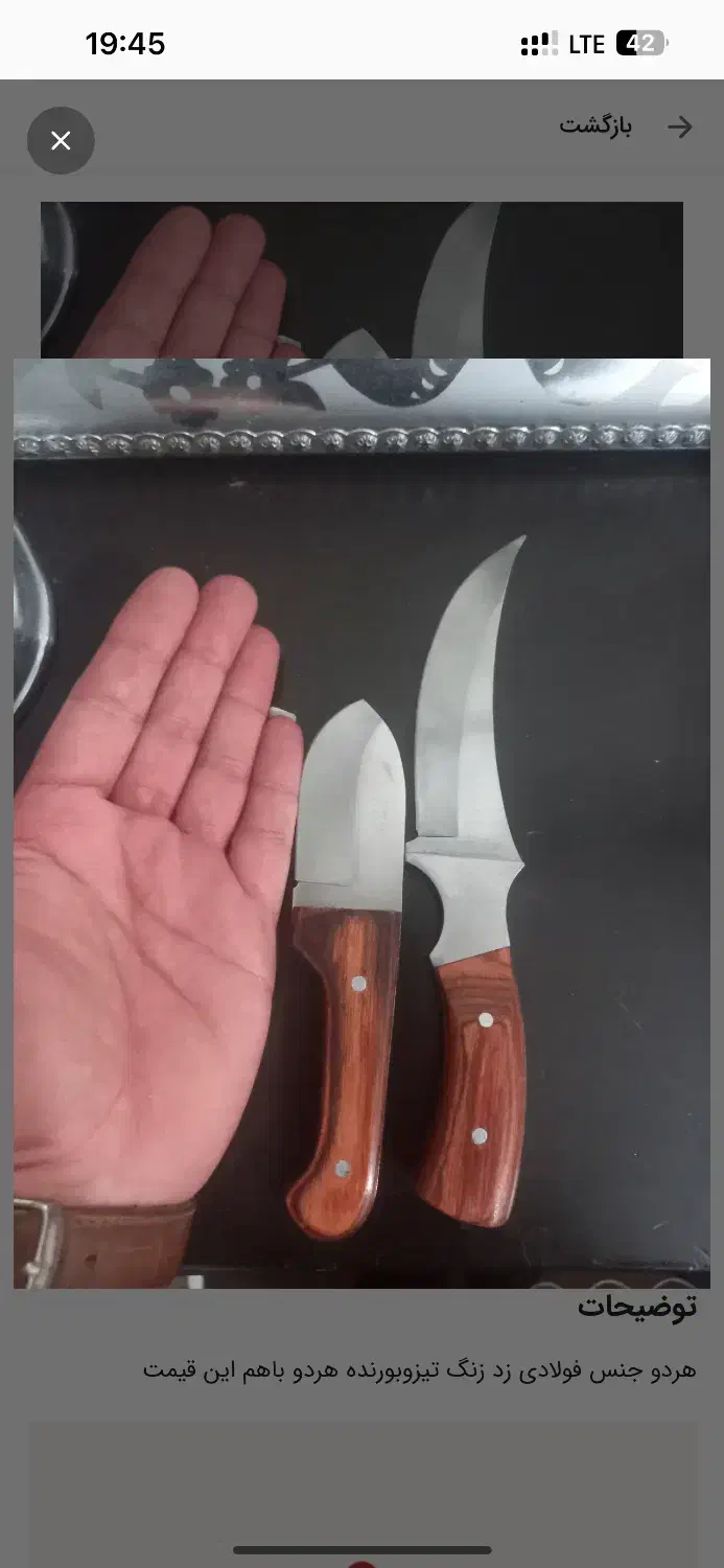 چاقو اشپزخانه|کوهنوردی و کمپینگ|شاهرود, |دیوار