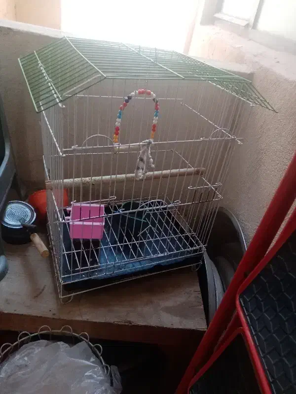 یدونه قفس پرنده|لوازم جانبی حیوانات|پیشوا, |دیوار