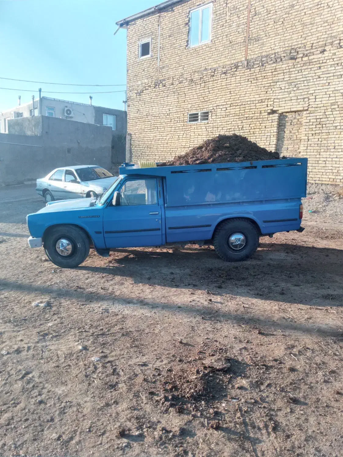 کود گوسفندی|خدمات باغبانی و درختکاری|ابهر, |دیوار