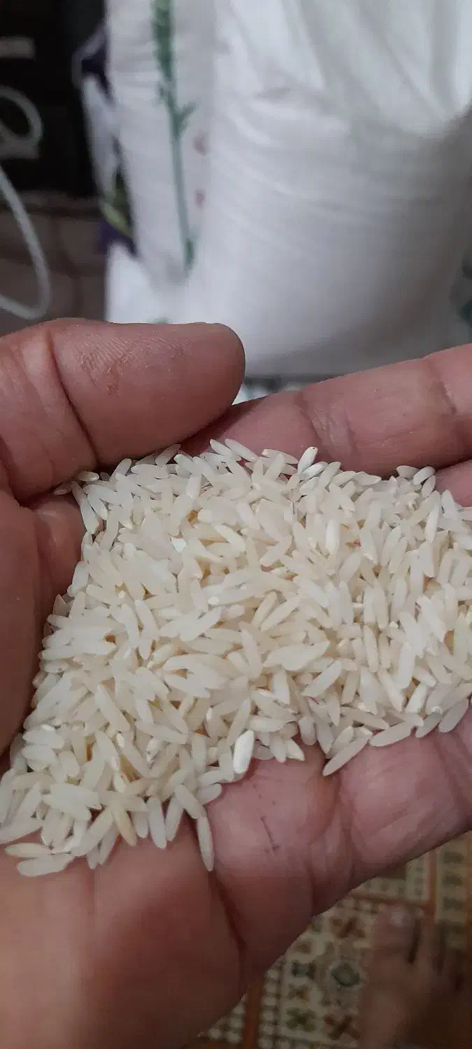 برنج طارم  هاشمی ...ودمسیاه|خوردنی و آشامیدنی|تهران, شهرک زینبیه|دیوار