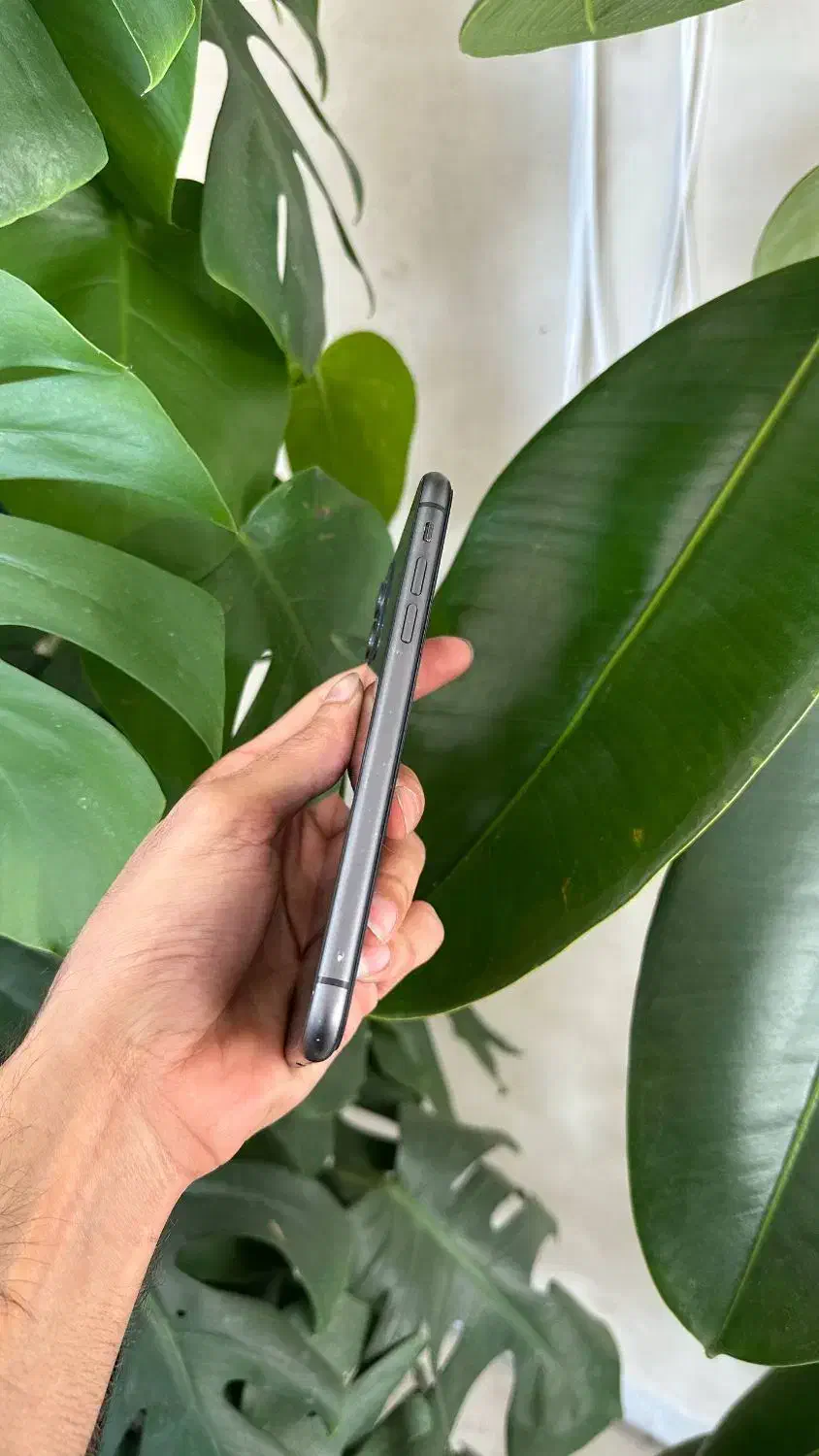 iphone 11 normal|موبایل|سمنان, |دیوار