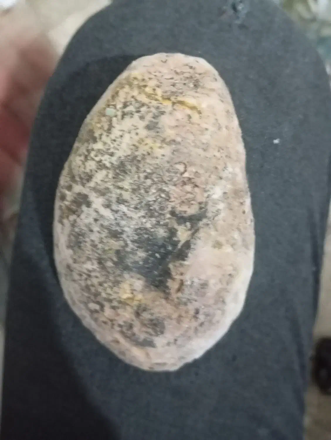 شهاب سنگ|کلکسیون اشیاء عتیقه|پیشوا, |دیوار