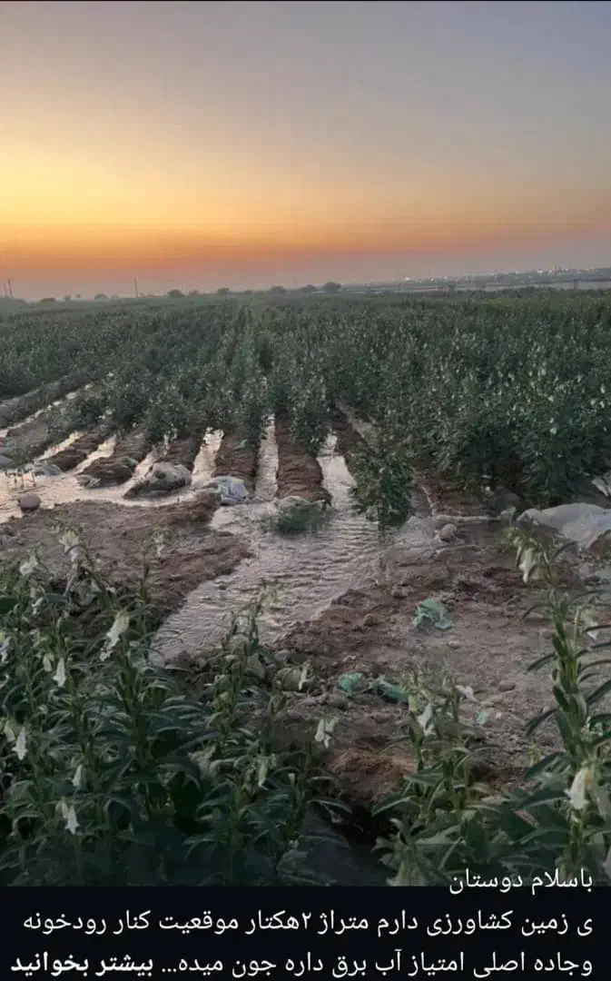 زمین|فروش دفتر صنعتی، کشاورزی، تجاری|بهبهان, |دیوار