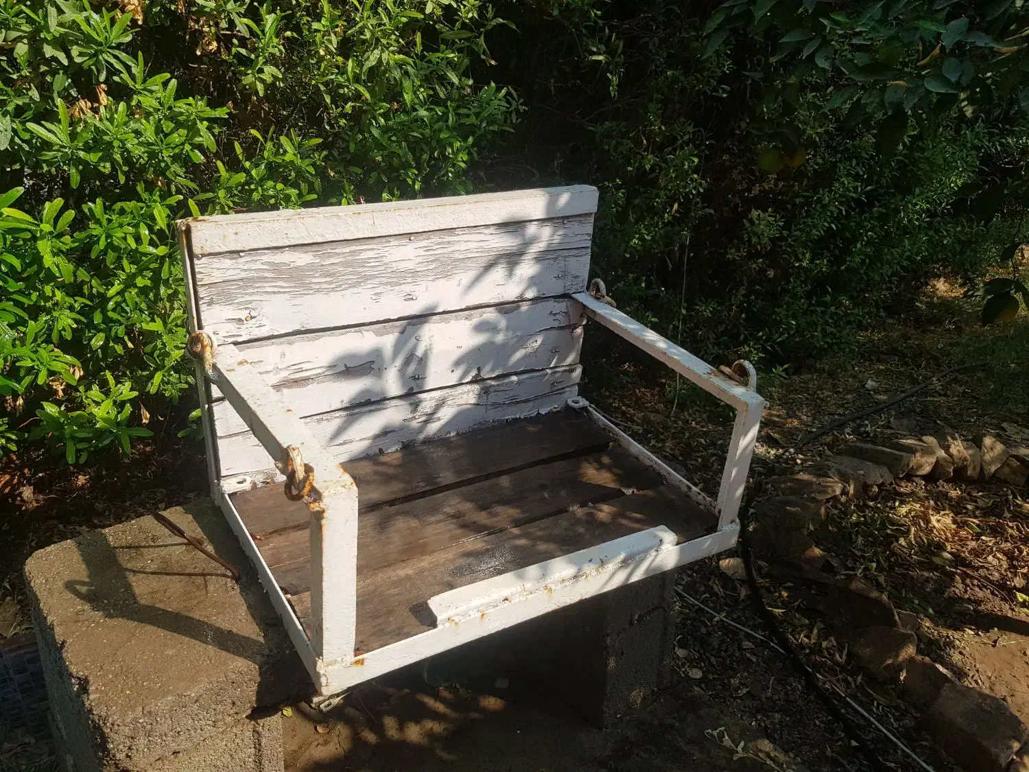 صندلی تاب|صندلی و نیمکت|دزفول, |دیوار