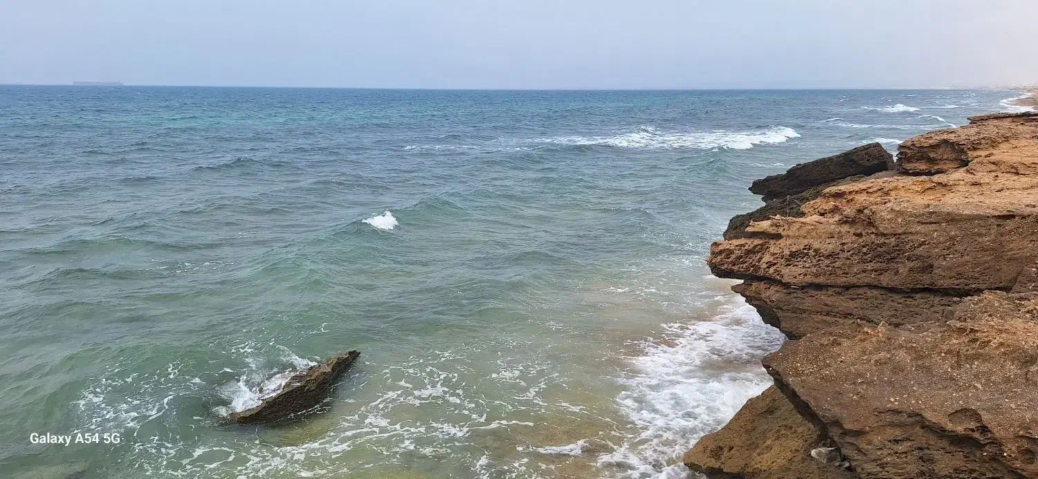 گشت جزیره و مراکز خرید قشم|تور و چارتر|قشم, |دیوار