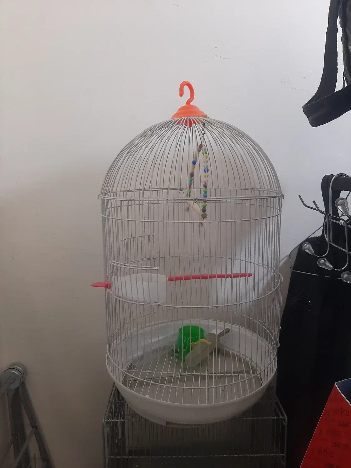 قفس پرنده|لوازم جانبی حیوانات|پردیس, فاز ۱۱|دیوار