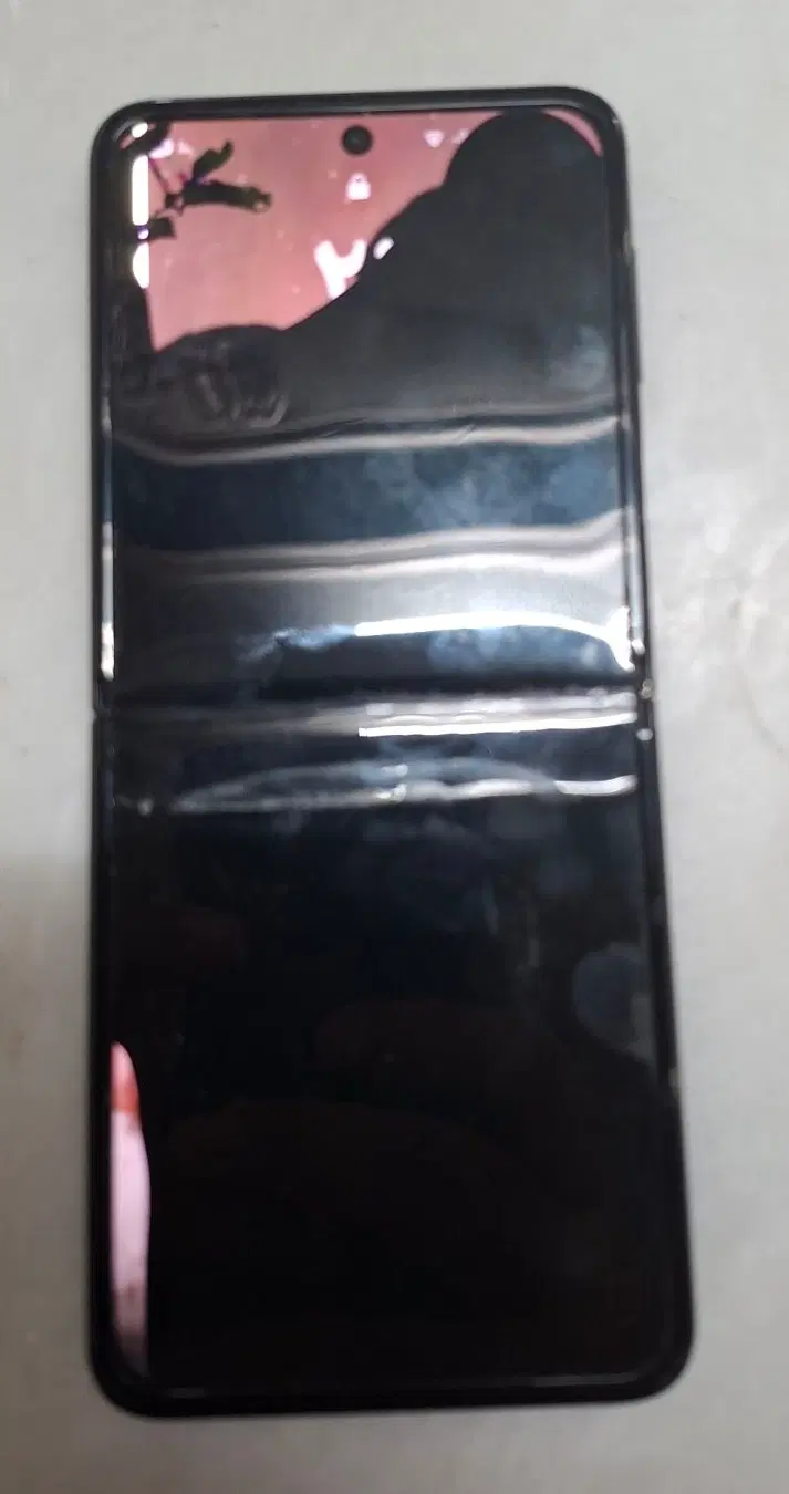Samsung Z Flip3|موبایل|اصفهان, باغ دریاچه|دیوار
