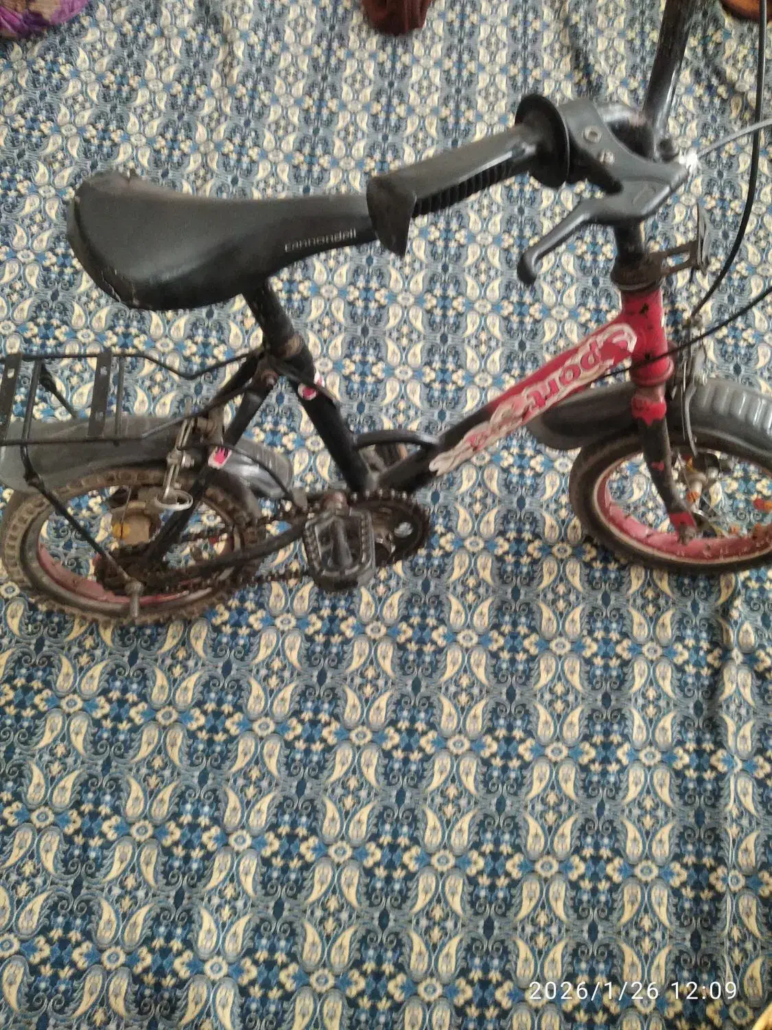 دوچرخه سایز ۱۲|دوچرخه، اسکیت، اسکوتر|قم, شهرک فاطمیه|دیوار