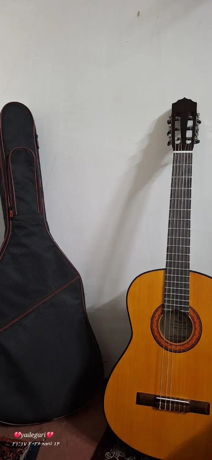 گیتار|گیتار، بیس، امپلیفایر|زنجان, |دیوار