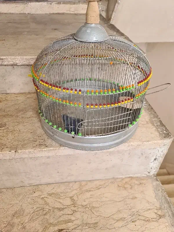 قفس|لوازم جانبی حیوانات|پردیس, فاز ۲|دیوار