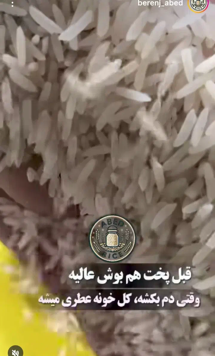 برنج ایرانی/هاشمی/طارم|عمدهفروشی|گیلان غرب, |دیوار