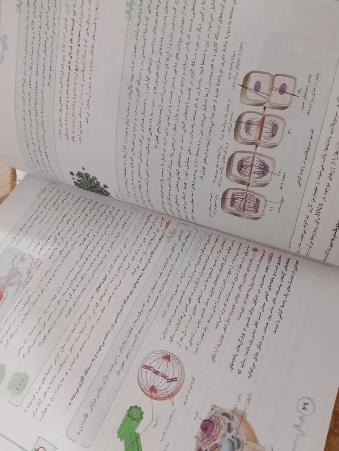 کتاب تست و درسنامه زیست دهم تجربی خیلی سبز|کتاب و مجله آموزشی|قم, بنیاد|دیوار