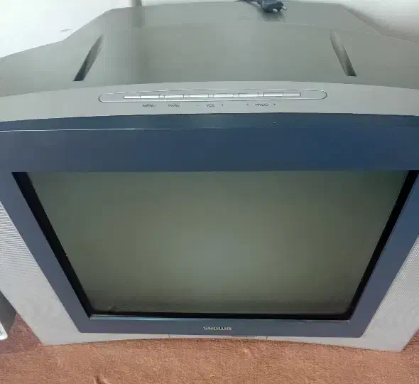 تلوزیون ۲۱ اینچ و مانیتور|تلویزیون و پروژکتور|رشت, دیانتی|دیوار