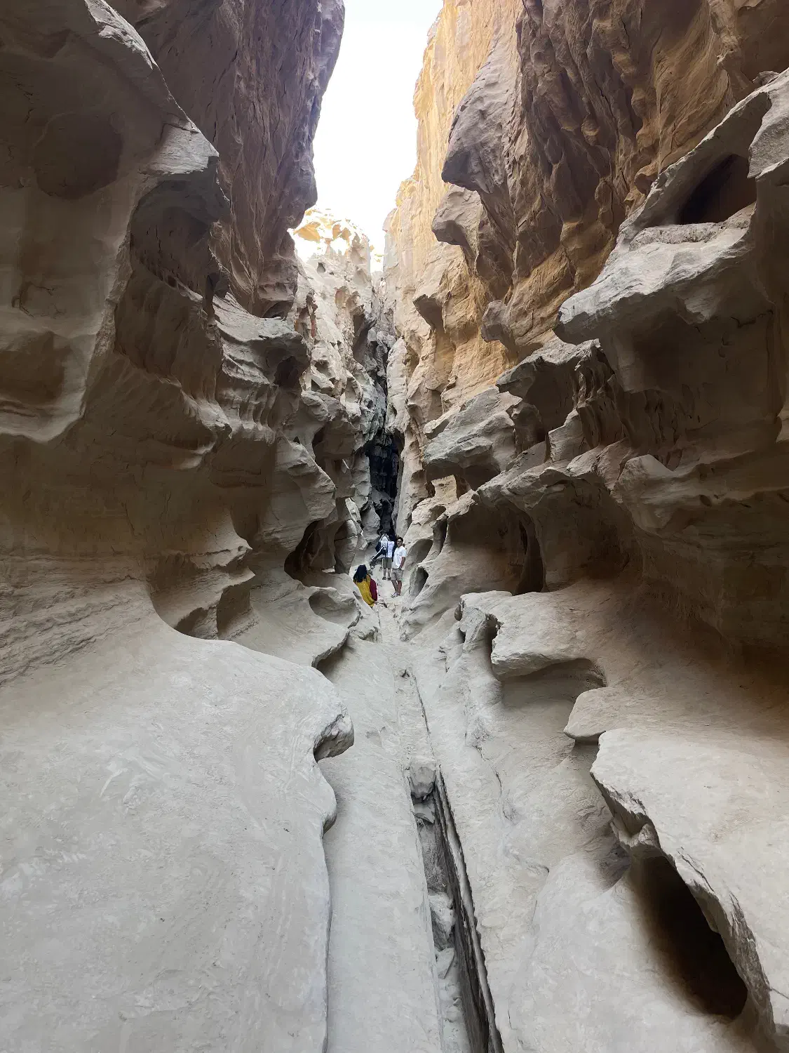 تور گشت جزیره|تور و چارتر|قشم, |دیوار