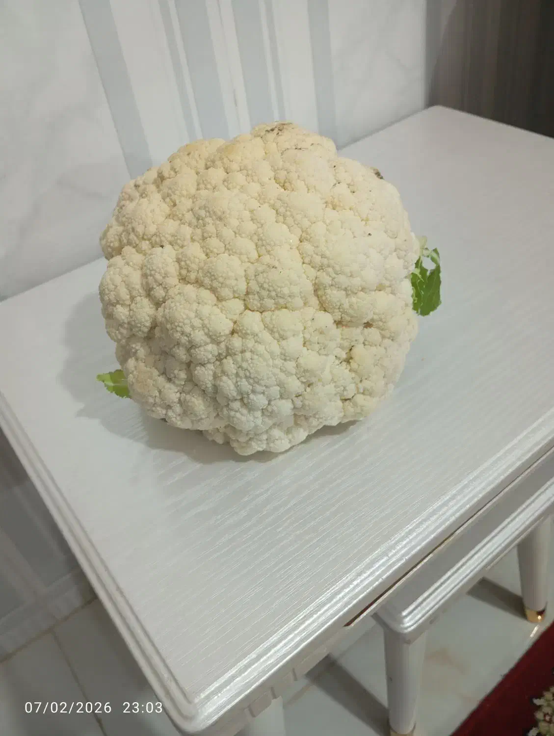 گل کلم|خوردنی و آشامیدنی|خان ببین, |دیوار