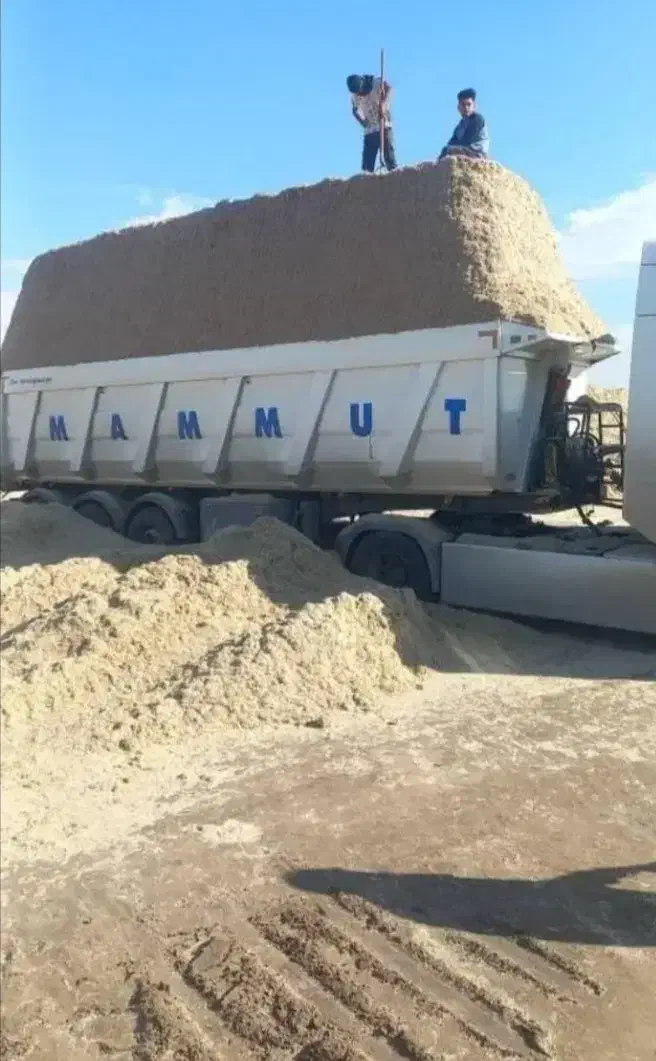 کاه نیشکر تازه|لوازم جانبی حیوانات|زهک, |دیوار