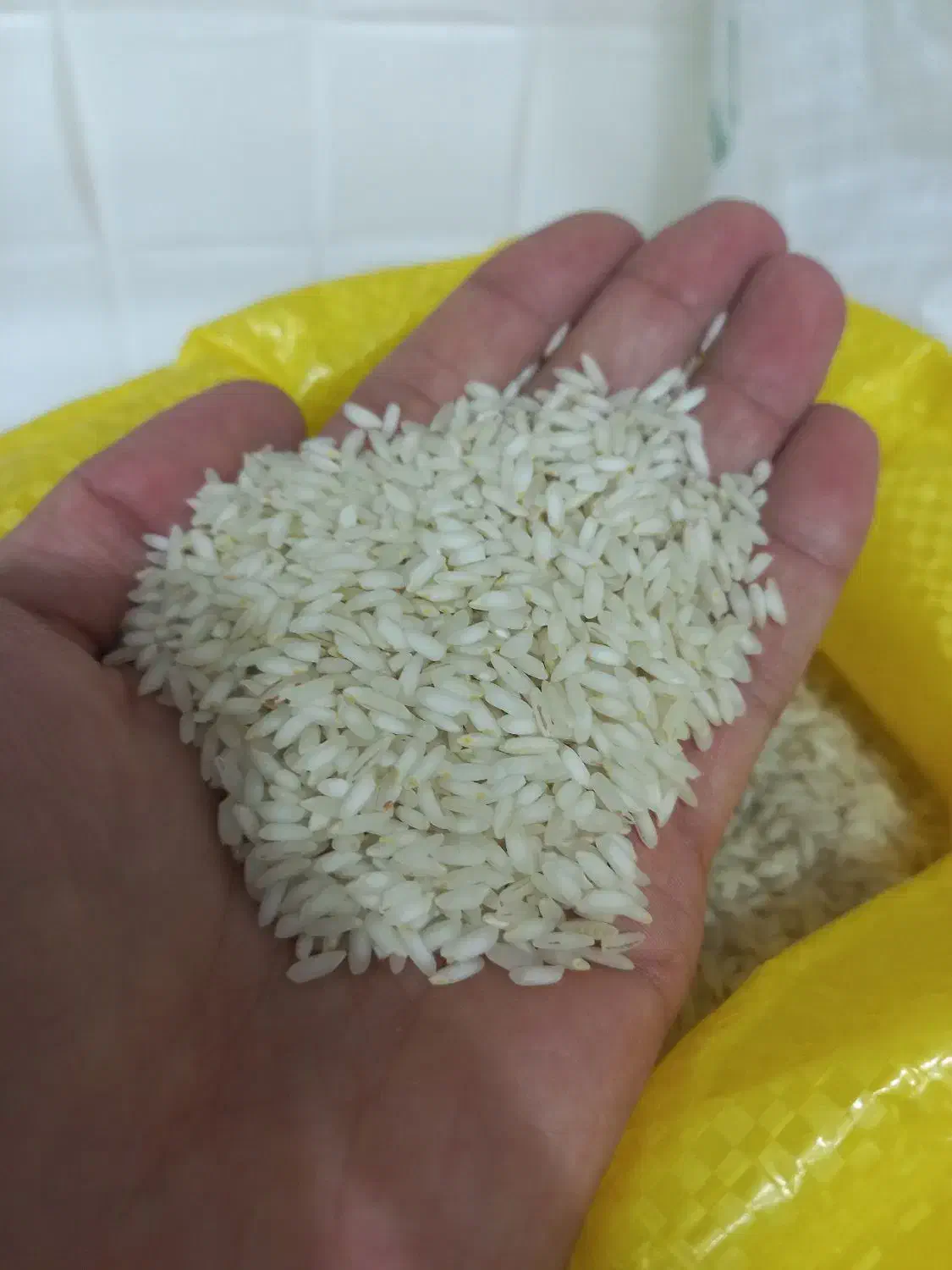 برنج عنبربو شوشتر|خوردنی و آشامیدنی|چمران, |دیوار