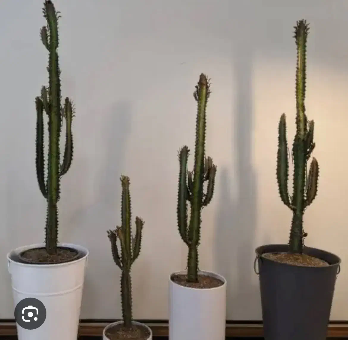 راهنمایی زندگی|فعالیت داوطلبانه|بندرعباس, |دیوار