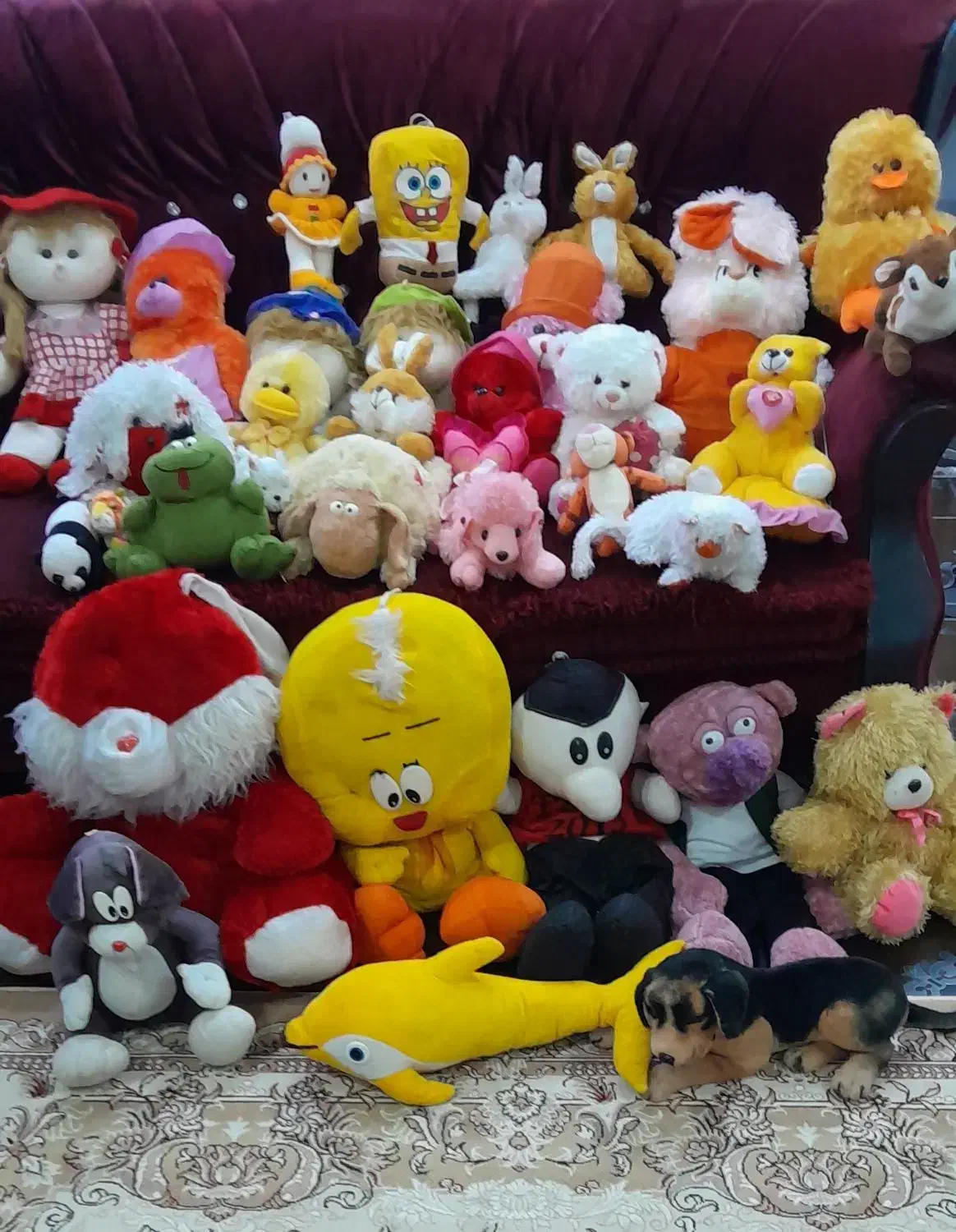 عروسک|اسباب‌بازی بچه|آستانه اشرفیه, |دیوار